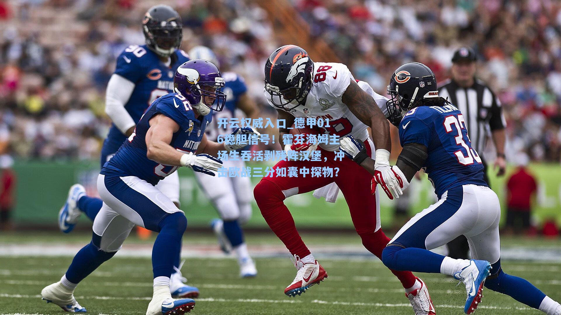 德甲016稳胆信号！霍芬海姆主场生吞活剥残阵汉堡，冲击欧战三分如囊中探物？