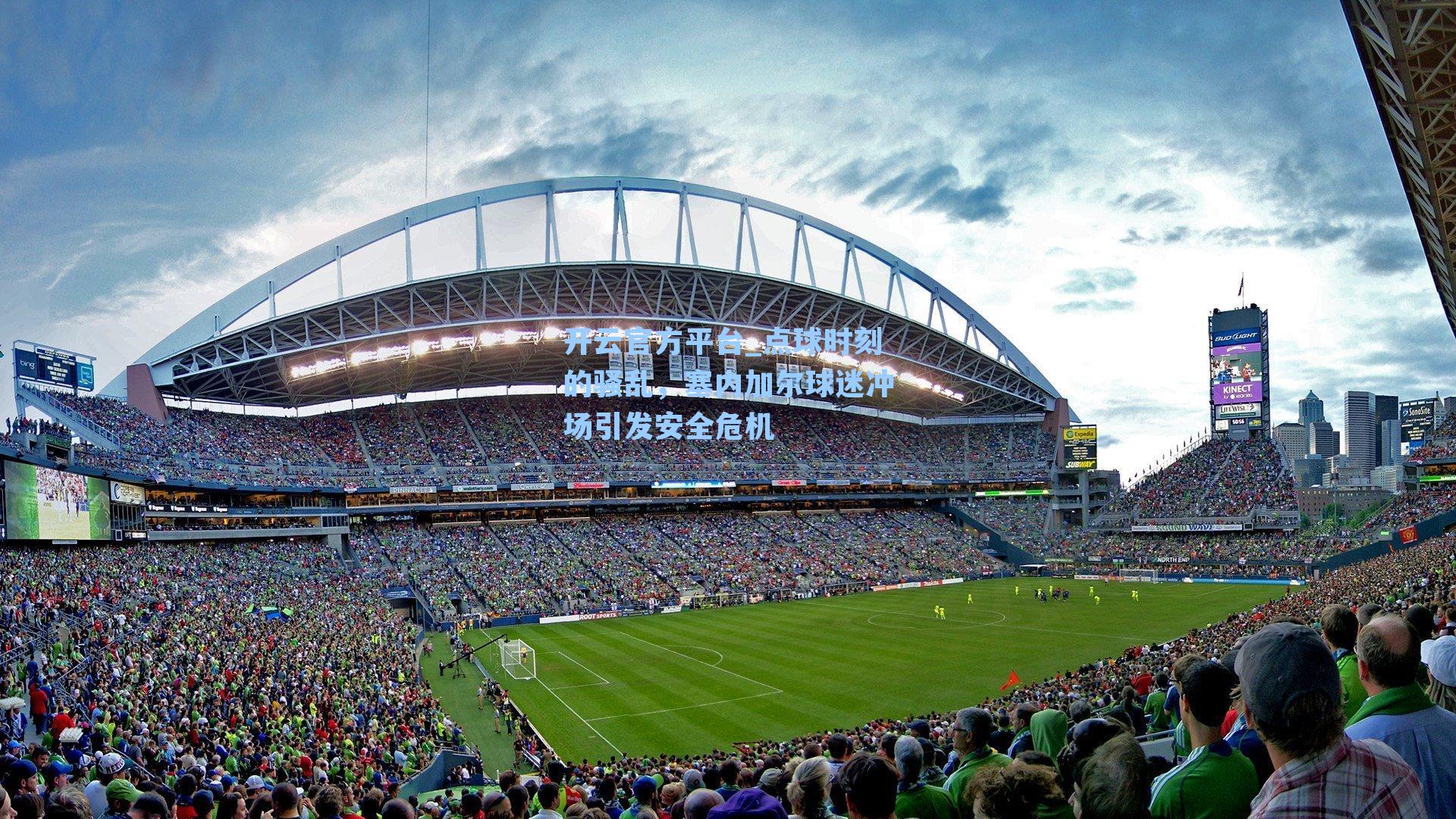 开云官方平台_点球时刻的骚乱，塞内加尔球迷冲场引发安全危机